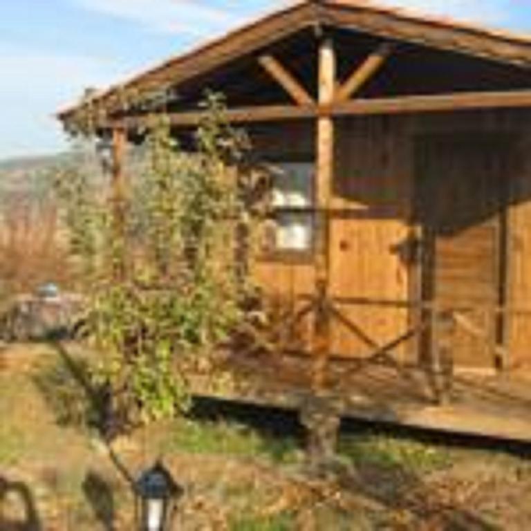 Salkim Konak Ve Agac Evler Hostal Selçuk Habitación foto