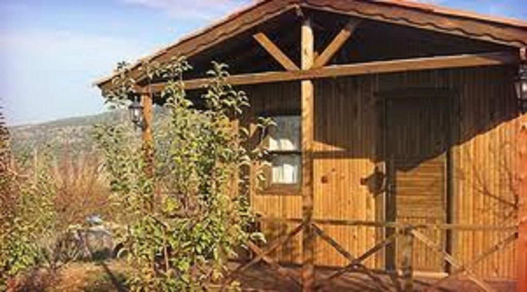 Salkim Konak Ve Agac Evler Hostal Selçuk Habitación foto