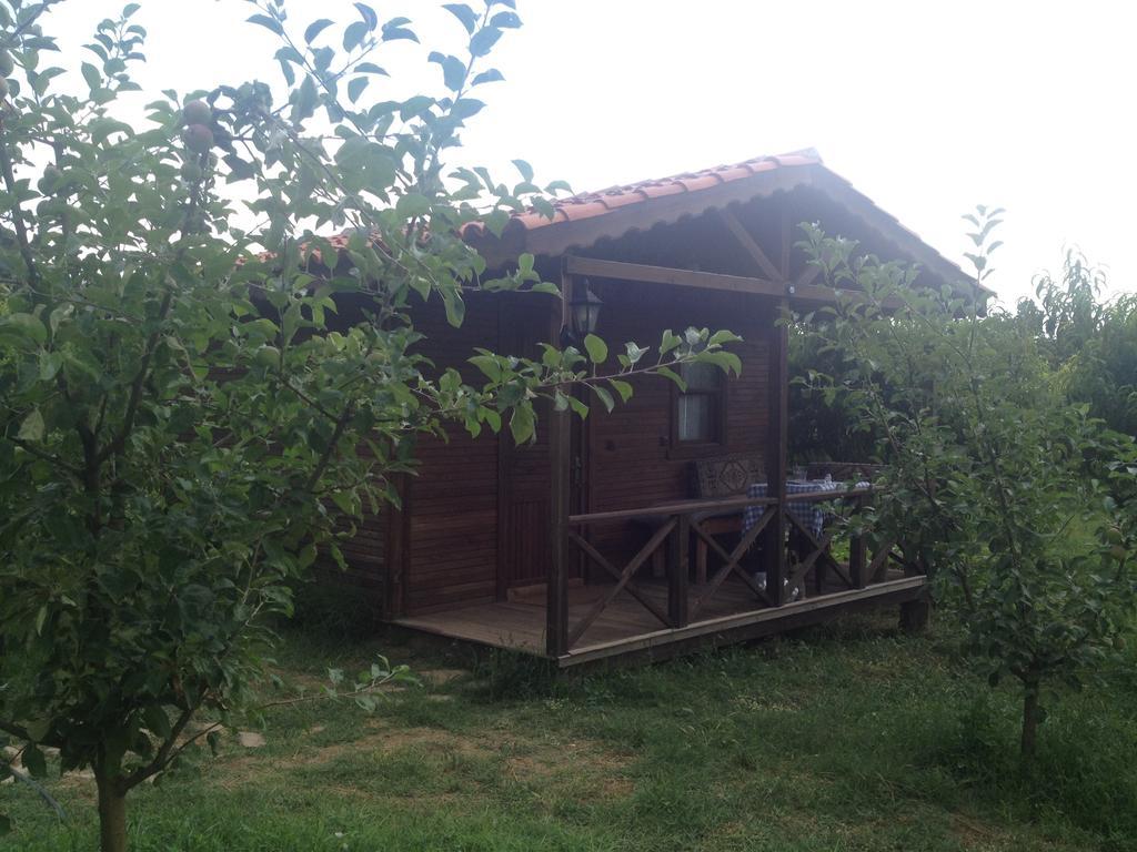Salkim Konak Ve Agac Evler Hostal Selçuk Habitación foto