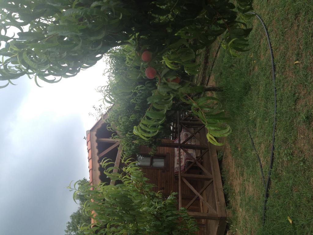 Salkim Konak Ve Agac Evler Hostal Selçuk Habitación foto