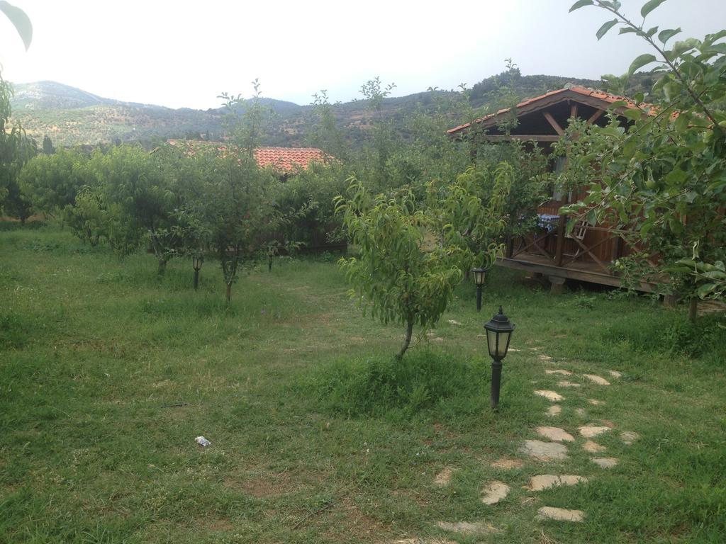 Salkim Konak Ve Agac Evler Hostal Selçuk Habitación foto