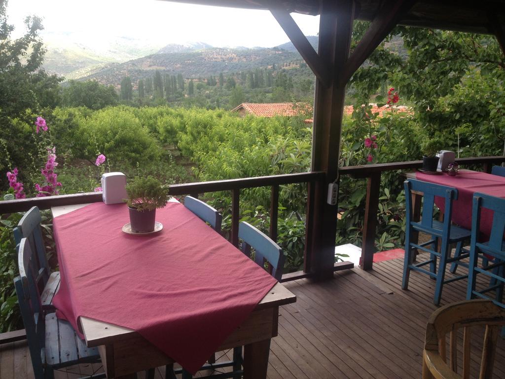 Salkim Konak Ve Agac Evler Hostal Selçuk Exterior foto