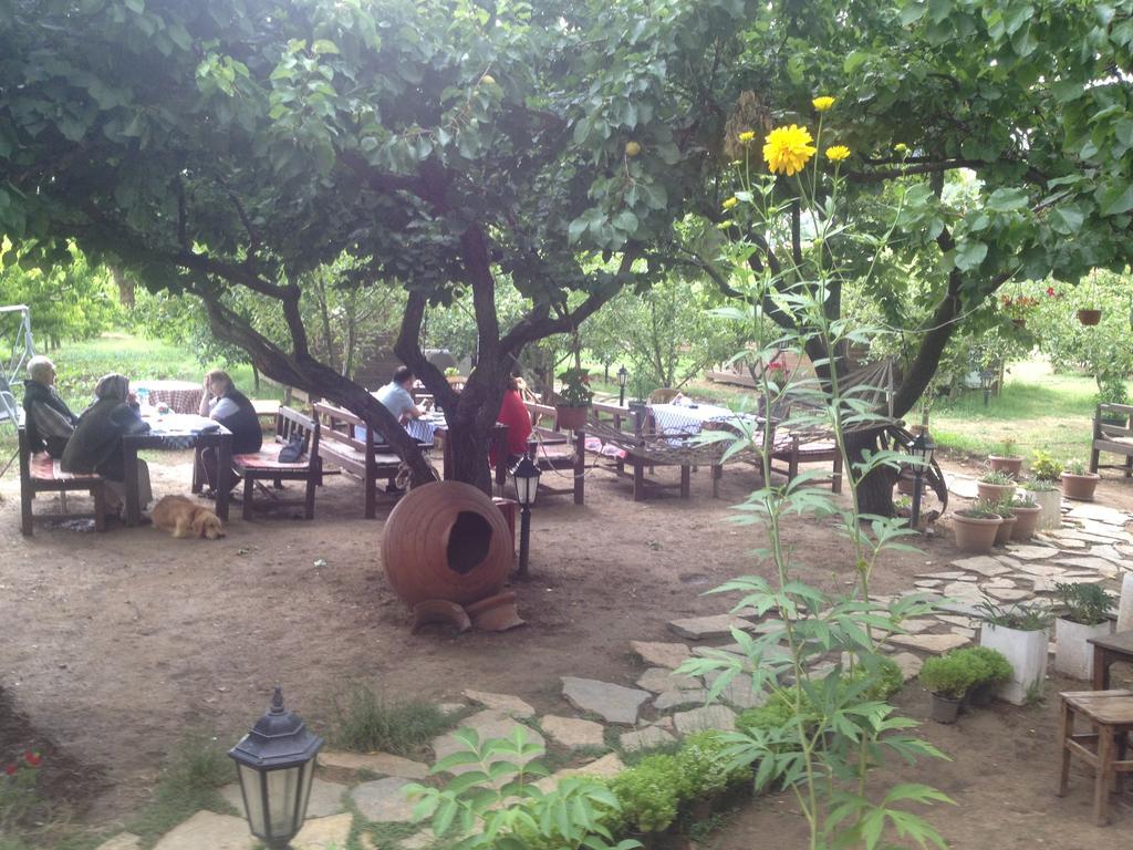 Salkim Konak Ve Agac Evler Hostal Selçuk Exterior foto