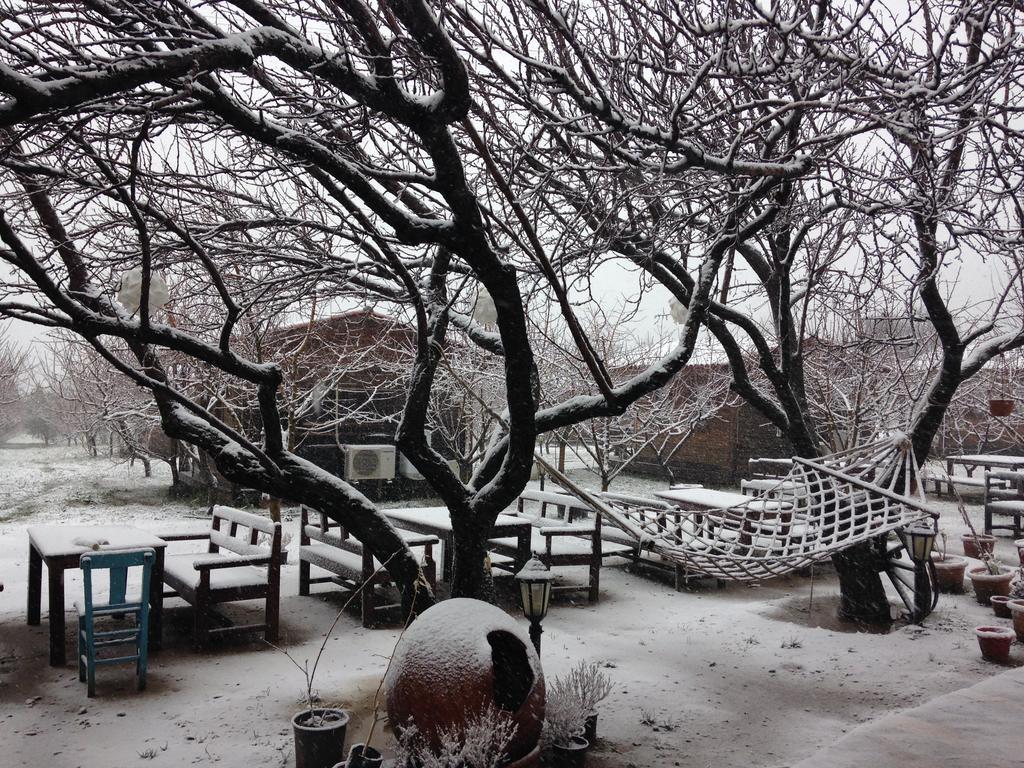 Salkim Konak Ve Agac Evler Hostal Selçuk Exterior foto