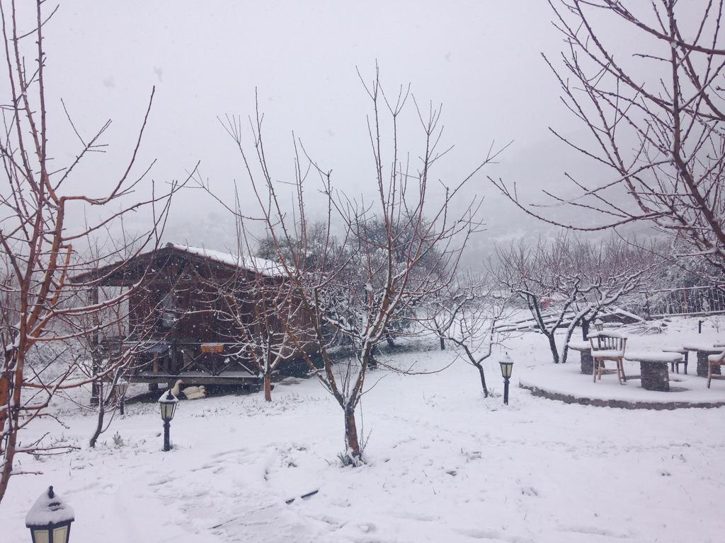 Salkim Konak Ve Agac Evler Hostal Selçuk Exterior foto