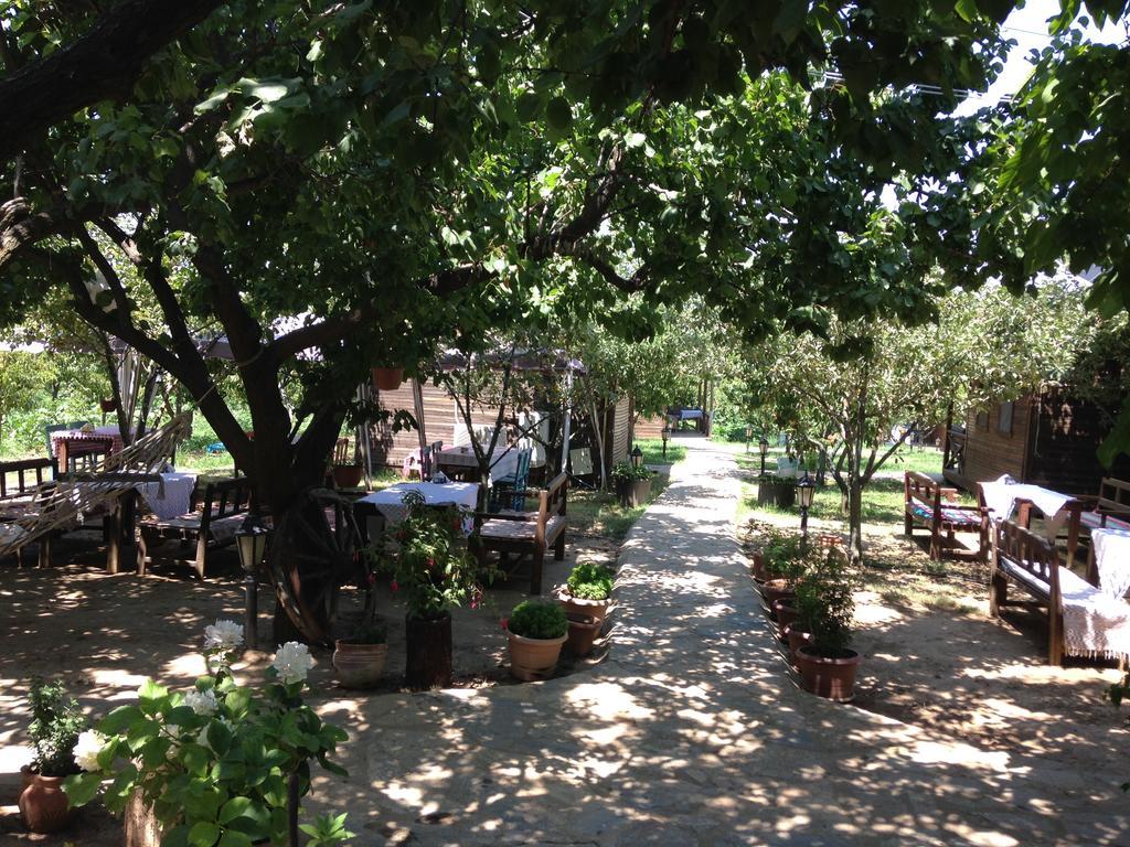 Salkim Konak Ve Agac Evler Hostal Selçuk Exterior foto