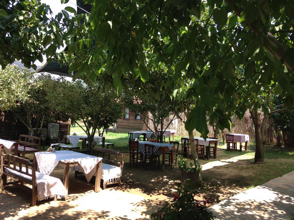 Salkim Konak Ve Agac Evler Hostal Selçuk Exterior foto