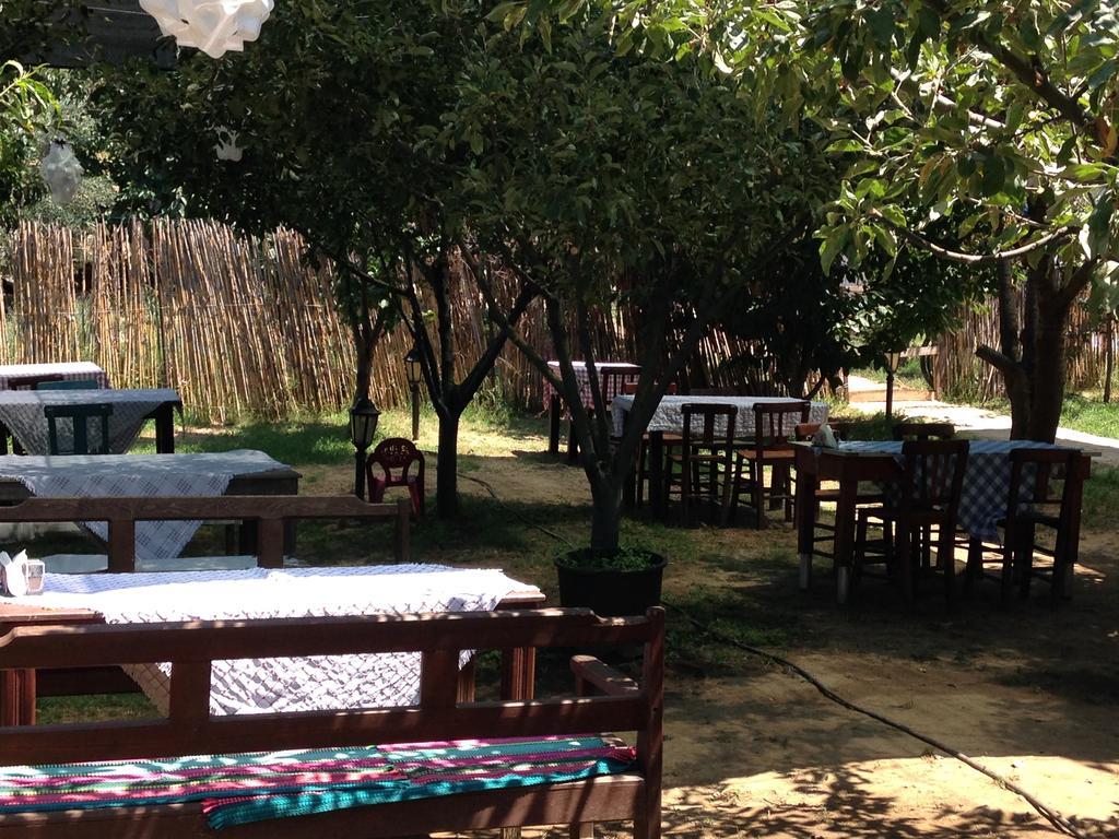 Salkim Konak Ve Agac Evler Hostal Selçuk Exterior foto