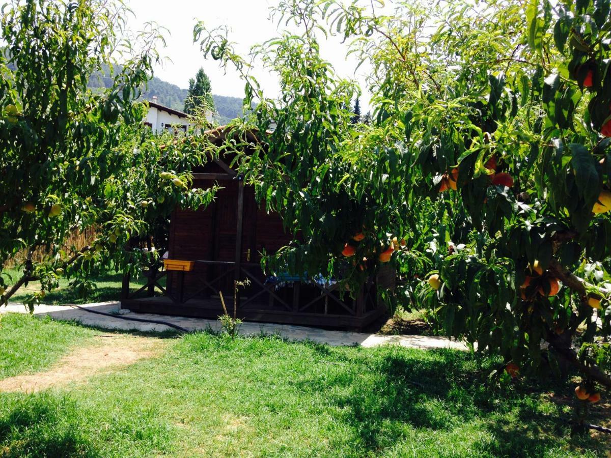 Salkim Konak Ve Agac Evler Hostal Selçuk Exterior foto
