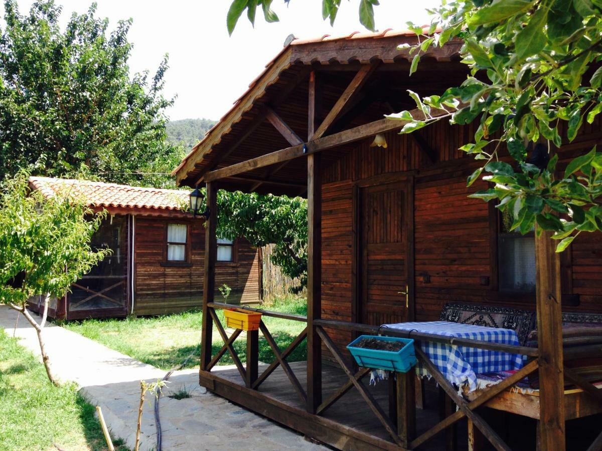 Salkim Konak Ve Agac Evler Hostal Selçuk Exterior foto
