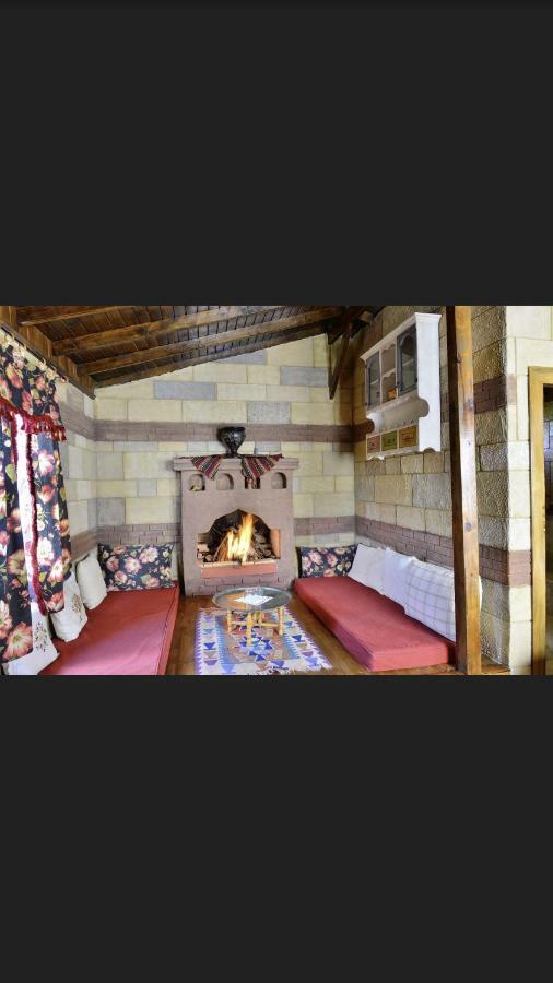 Salkim Konak Ve Agac Evler Hostal Selçuk Exterior foto